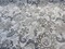 1 Yard Motemi Toile Leopard Graystone Swavelle Chenille Upholstery Fabric 58 Inch Width